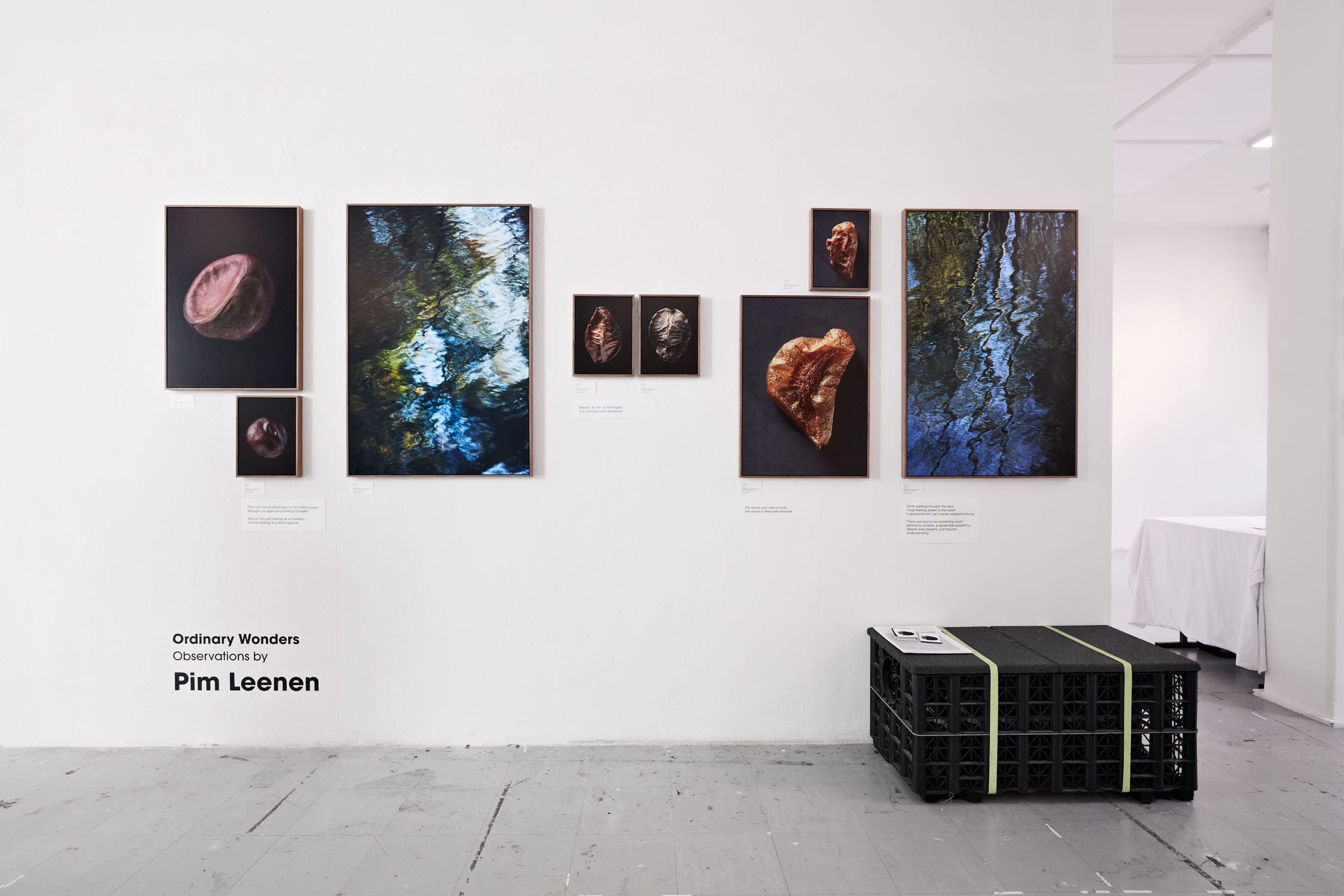 ordinary wonders expositie van pim leenen