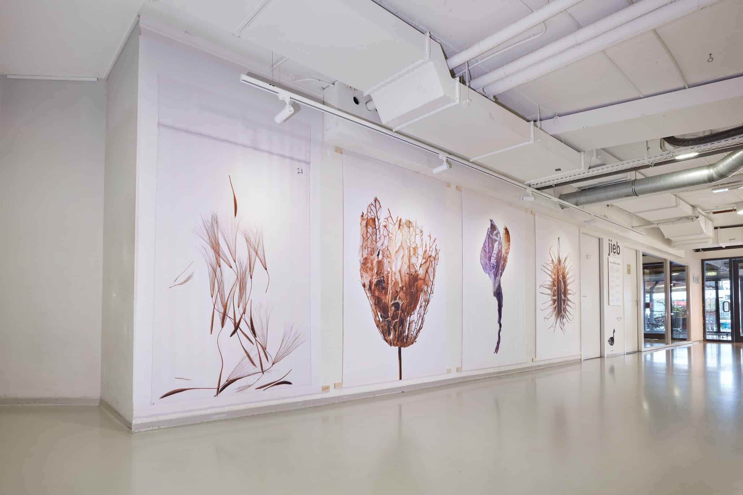 zaad van de straat expositie van Pim Leenen